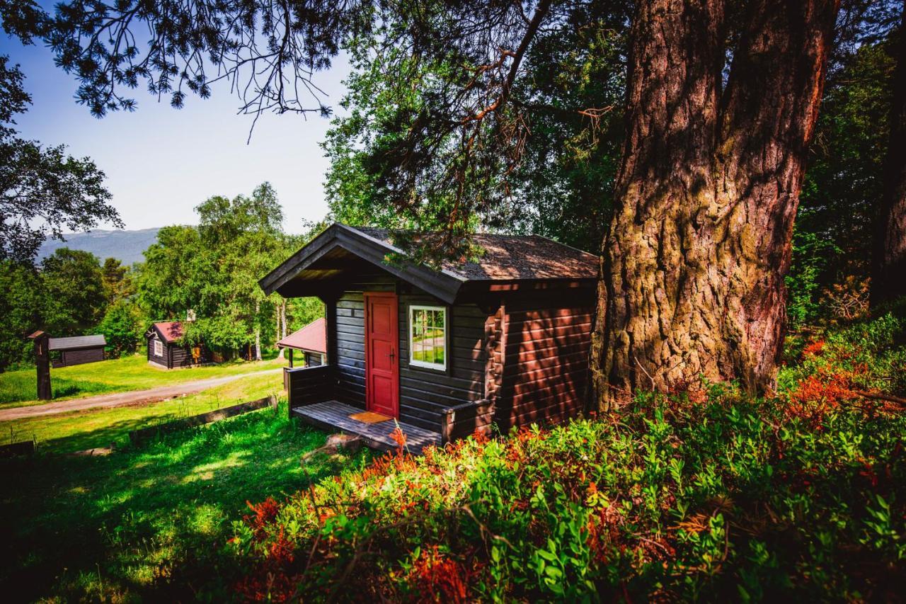 Ljoshaugen Camping Hotel Dombås Exterior foto